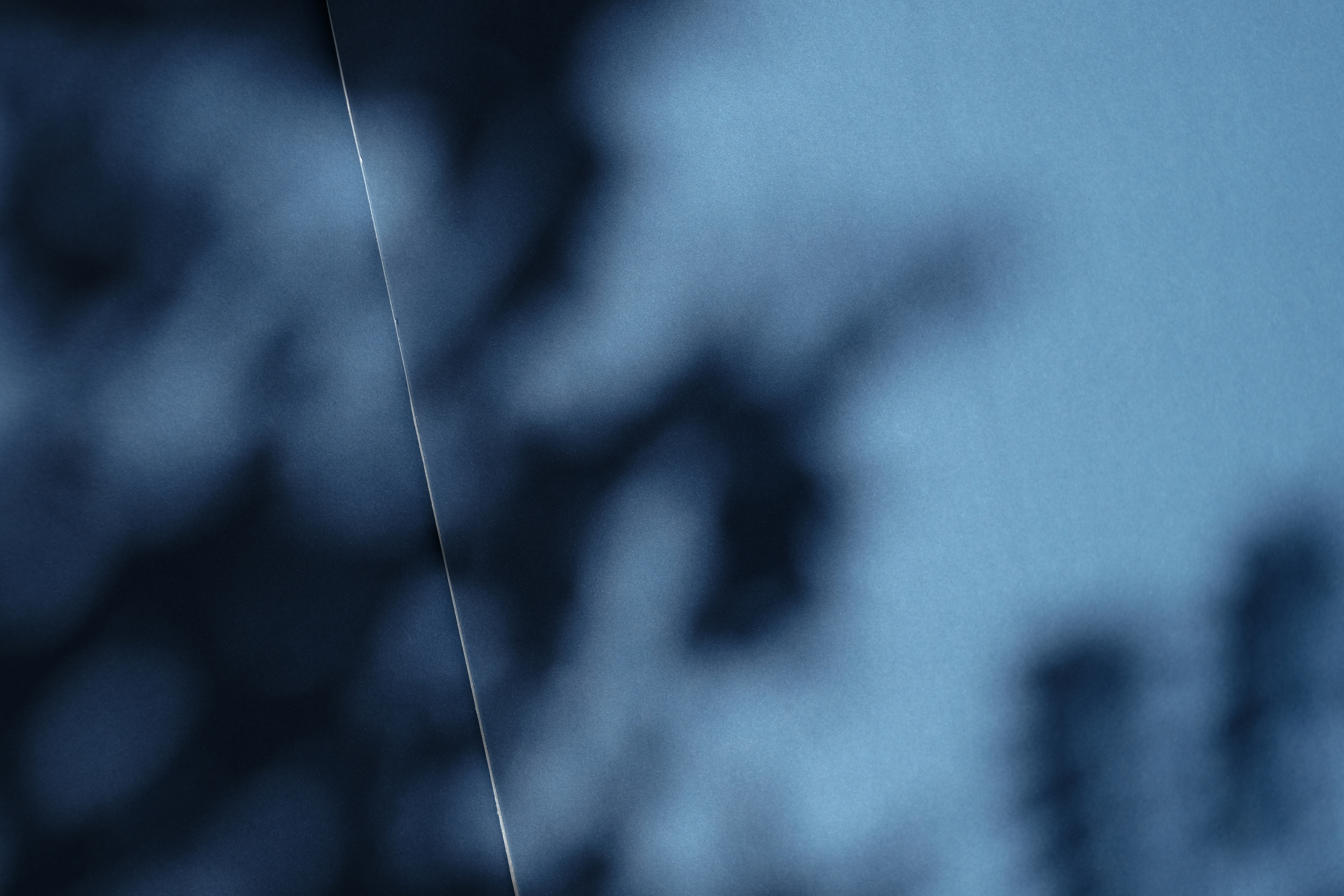 Shadows on Grey Background